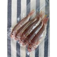 ราคา ส่งฟรี ปลาทรายแดง ปลาทะเล สดๆจากทะเลอันดามัน ปลาทะเลเรือเล็ก ขนาด 9 10 ตัวต่อกิโลกรัม ซีลสูญญากาศอย่างดี Seafood From Home (14906639444)