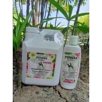 ราคา แชมพูฟื้นฟูบำรุงขนและผิวหนังสุนัข รักษาโรคผิวหนังสุนัขแมวทุกชนิด ขนาด 1 ลิตร ขี้เรื้อน เชื้อรายีสต์หายขาดแน่นอนหอมมาก (18527041502)