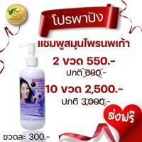 ราคา โปรพาปัง 210 ขวด แชมพูนพเก้า แชมพูสมุนไพรนพเก้า แก้รังแค คันศรีษะ หนังหัวลอก ลดผมร่วง (9125487582)