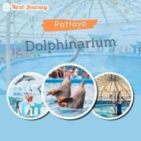 ราคา บัตรเข้าชมโชว์ปลาโลมาที่ Pattaya Dolphinarium สำหรับคนไทย (21004933620)