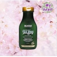 ราคา Beaver Tea Tree Purifying Shampoo 350 730 ml แชมพู ขจัดรังแค ความมันบนหนังศีรษะ และกลิ่นอับ (2910926140)