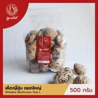 ราคา เห็ดหอมแห้งญี่ปุ่น เห็ดหอมลาย เห็ดลายญี่ปุ่น ดอกใหญ่ ปฐมาพาณิชย์ 500 กรัม เห็ดชิตาเกะ แบบหนา สำหรับประกอบอาหาร (2184836356)