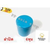 ราคา 100ชิ้น ฝาครอบพีวีซี หมวกครอบพีวีซี ฝาปิดพีวีซี ฝาปิดท่อ อุปกรณ์ประปา ขนาด1 2 4หุน และ 3 4 6หุน (15943311290)