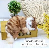ราคา พร้อมส่งจากไทย ตุ๊กตาแมว ตุ๊กตาหมา น้องหมาแมวเสมือนจริง ตุ๊กตา (17437942675)