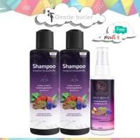 ราคา ส่งฟรี ไม่ต้องใช้โค๊ด แชมพู สมุนไพร พรทิน่า Shampoo Pontina ส่งเร็ว มีเก็บเงินปลายทาง COD มีของแถม (17331371594)