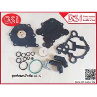 ราคา ชุดซ่อมหม้อต้มแก๊ส LPG TOMASETTO AT09 alaska ชุดซ่อมหม้อต้มแก๊สระบบฉีด LPG TOMASETTO AT09 alaska สินค้าครบตามภาพประกอบ (18220746975)