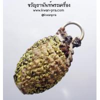 ราคา พระแท้ ทั้งร้าน หลวงปู่อิ่ม วัดทุ่งนาใหม่ หมากทุย รุ่น มหาอำนาจ KP3470 (20221182725)