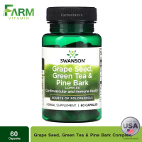 ราคา Swanson Grape Seed Green Tea Pine Bark Complex 60 Capsules (21414752615)