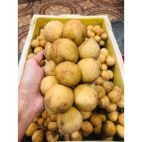 ราคา ลองกองตันหยงมัสแท้หวานหอมอร่อยน้ำหนัก3กิโลกรัม (20566625974)