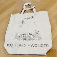 ราคา ถุงช้อปปิ้ง Shopping Bag ลาย Duffy and Friends และ 100 Years of Wonder จาก DisneyLand Hong Kong ของแท้ 100 (21002398042)