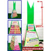 ราคา สื่อการสอน ห่อหมก วิชาวิทยาการคำนวณ การใช้เหตุผลเชิงตรรกในการเเก้ไขปัญหา (21251124149)