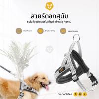 ราคา Upets สายรัดอกสุนัข สายรัดอกสัตว์เลี้ยง สายจูงสุนัข พันธุ์เล็ก ใหญ่ (16499063169)