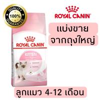ราคา แบ่งขาย อาหารแมว Royal canin สูตรkitten 500g 800g 1kg อาหารแมวรอยัลคานินแบบแบ่งขาย (20923004639)