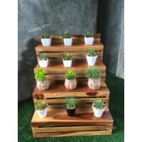 ราคา ชั้นวางของโชว์สินค้า ชั้นขั้นบันได ชั้นวางต้นไม้แคทตัส ทำจากไม้สักแท้ มีบริการเก็บเงินปลายทาง (9894665484)