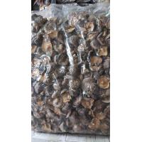 ราคา เห็ดหอม เห็ดหอมแห้ง ดอกใหญ่ เกรดดี (21405086538)