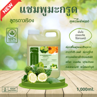 ราคา แชมพูมะกรูดดาวเรือง สูตรฟื้นฟูผมแห้งเสีย จากการทำสีทำเคมี ครีมมะกรูดหมักผม ออร์แกนิค ไม่มีฟอง 1000ml (18104524474)