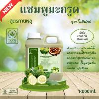 ราคา แชมพูมะกรูดกานพลู สูตรเร่งการเจริญเติบโตของรากผมให้ยาวเร็วขึ้น ครีมมะกรูดหมักผม ออร์แกนิค ไม่มีฟอง 1000ml (18581291925)