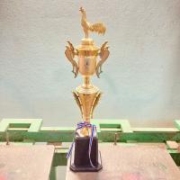 ราคา ถ้วยรางวัลไก่แจ้ ถ้วยรางวัลไก่ชน แตร หงส์ สวย ดูดี มีหลายขนาด สั่ง 3 ใบขึ้นไป ทำป้ายให้ฟรี แจ้งทางแชทครับ (19327802723)