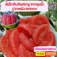 ราคา ส้มโอทับทิมสยาม จากลุมน้ำปากพนัง แท้100 (19814242055)