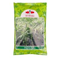 ราคา เมล็ดพันธุ์ผักบุ้งจีนไผ่เงิน ตราศรแดง 1 กก (20818261557)