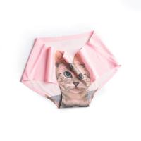 ราคา กางเกงในไร้ตะเข็บกันโป๊ลายแมวเหมียว3D สำหรับผู้หญิงกางเกงในทรงสามเหลี่ยมผ้าไอซ์ซิลค์พิมพ์ลายการ์ตูนแมวเหมียว J (14244223434)