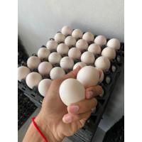 ราคา ไข่เป็ดเบอร์ 2 น้ำหนักไข่ 21 กรัม 1 ฟอง จำน่าย 10 ฟอง 1 แผง 30 ฟอง (21421910837)