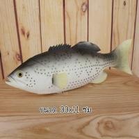 ราคา ปลาปลอม ปลาทะเล ปลาน้ำจืด อาหารปลา สัตว์น้ำปลอม ตกแต่งร้านอาหาร ตกแต่งบ้าน พร๊อพถ่ายรูป อาหารปลอม โมเดลปลา งานยางPU (20537405661)