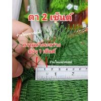 ราคา อวนโปลีสีเขียวขี้ม้า อวนล้อมไก่ อวนล้อมปลา อวนกันนก 380D 6 ขนาดตา 2เซ็นต์ 2 5เซ็นต์ 3เซ็นต์ (21393558402)