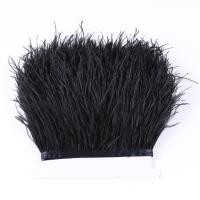 ราคา 52 Color Real Ostrich Feather Trim Fringe 8 10CM Decoration for Dress Clothing Sewing Accessory Plumes Crafts 1 Meter Wholesale (19955893872)