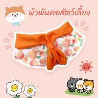 ราคา ผ้าพันคอน้องหมาน้องแมว (19878477783)