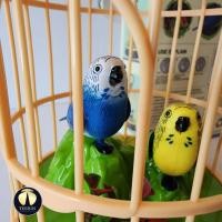 ราคา กรงนก ใส่ถ่าน มีเสียงมีไฟ นกขยับได้ น่ารัก เพลิดเพลิน (21383634109)