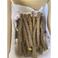 ราคา บอระเพ็ดตัดสด 1 กิโลกรัม (9679088416)