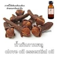 ราคา น้ำมันกานพลู clove oil essential oil น็อคปลา (21431321538)