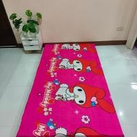 ราคา ปลอกที่นอนปิคนิค ขนาด 3 5 5 6 ฟุต เลือกลายได้ เฉพาะปลอก (21353101935)