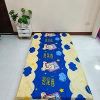 ราคา ปลอกที่นอนปิคนิค ขนาด 3 5 5 6 ฟุต เลือกลายได้ เฉพาะปลอก (21353101943)