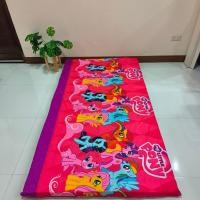 ราคา ปลอกที่นอนปิคนิค ขนาด 3 5 5 6 ฟุต เลือกลายได้ เฉพาะปลอก (21353101937)