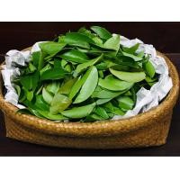 ราคา ใบชะมวงเด็ดแล้ว 500g 1kg สำหรับทำอาหารหรือเป็นสมุนไพร เช่น แกงหมูชะมวง ใส่ต้มปลา ขาหมู (16698020110)