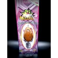 ราคา กบยาง อึ่งยาง เหยื่อยาง A ส่งสินค้าทุกวันครับ หนัก8กรัม (12999154182)