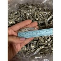 ราคา ปลากะตักแบบตัว 1 kg (19733395714)