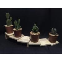 ราคา ชั้นไม้บันได 6 ขั้น วางกระบองเพชร แคคตัส โมเดล ต้นไม้ วินเทจ (20533928880)