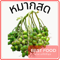 ราคา หมากสด ขายเป็นลูก ราคาถูก (16469026510)