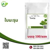 ราคา ใบมะรุม 100 แคปซูล ผงสมุนไพร100 (16918767574)