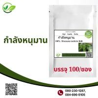 ราคา กำลังหนุมาน ผง 100 แคปซูล กำลังราชสีห์ บำรุงกำลัง (17651019960)
