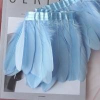 ราคา ขนห่านแบบมีขอบ เทปขนห่าน ขนนก พร้อมส่ง ขนนกแบ่งขาย (17578403722)