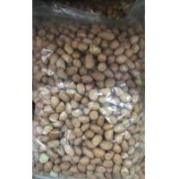 ราคา ถั่วลิสง 1 กิโลกรัม (9800908598)