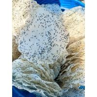 ราคา ข้าวเกรียบ ข้าวเกรียบปากหม้อ แผ่นข้าวเกรียบปากหม้อ แบบดิบ ขนาด 23 ซม 1มัด 10แผ่น (21194386465)