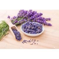 ราคา ดอกลาเวนเดอร์อบแห้ง ขนาด 30 กรัม กลิ่นหอม ช่วยลดกลิ่นอับ ผ่อนคลาย (11704867254)