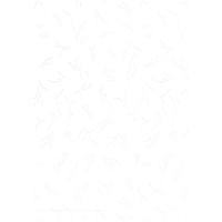 ราคา กระดาษปกการ์ดหอม 180 แกรม ขนาด A4 บรรจุ 50 แผ่น (11297137423)