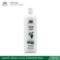 ราคา แชมพูอัญชัน ครีมนวดผมอัญชัน อภัยภูเบศร 300 มล ของแท้ (21018824141)
