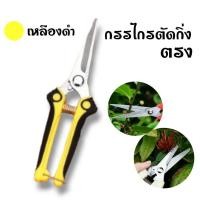 ราคา กรรไกร กรรไกรตัดกิ่งไม้ กรรไกรตัดแต่งกิ่งไม้ กรรไกรแต่งกิ่ง ปากโค้ง ปากตรง (18240868805)